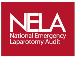 Nela_logo_WSM_abstracts